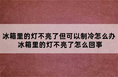 冰箱里的灯不亮了但可以制冷怎么办 冰箱里的灯不亮了怎么回事